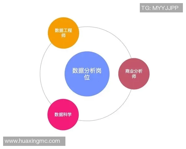 深入探讨杭州乒乓球队技术表现的数据分析与发展趋势