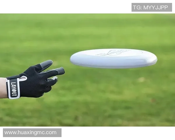 刘军独家分享飞盘技巧与心得体会助你成为飞盘高手