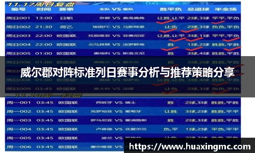 VSport胜利因您更精彩